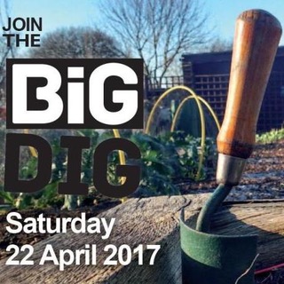 Big Dig 2017 postcard square.